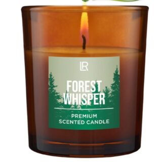 Premium Scented Candle Forest Whisper