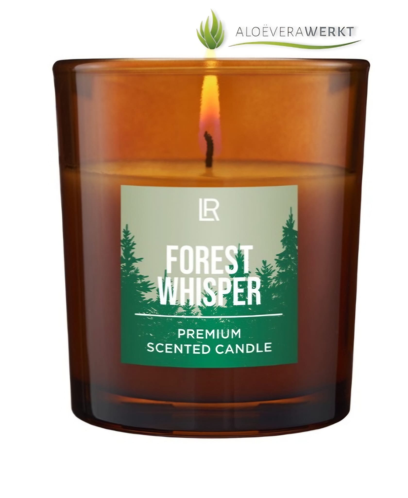 Premium Scented Candle Forest Whisper